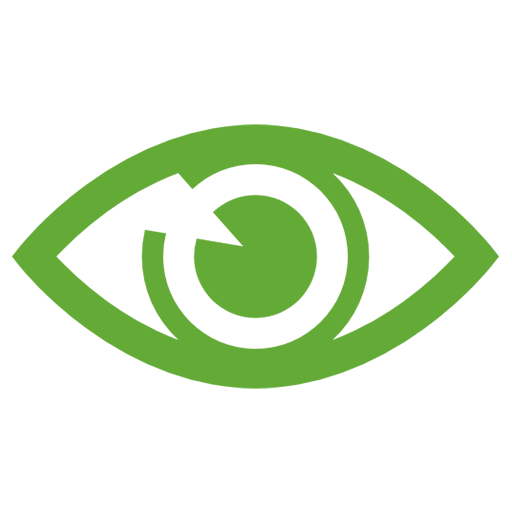 Vision